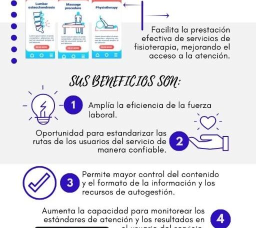 Infografía Fisioterapia Digital