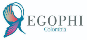 Grupo de expertos en Fisioterapia Oncológica, Cuidados Paliativos y VIH (EGOPHI) de ASCOFI